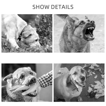 Adjustable Anti Bark Bite Mesh Muzzle for Dogs Pet Mouth Muzzle Stop Chewing for Puppies Nylon Belt Dog Accessories Pet Products