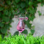 8 Styles Houseplant Automatic Self Watering Glass Bird Watering Cans Flowers Plant Decorative Clear Glass Watering Device