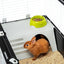 Rabbit Cage CASITA 120, Guinea Pigs Small Animals, Rounded Openable Roof, with Accessories