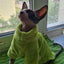 Fashionable Clothes For Cats Sphynx Cat Sweater Kitten Clothing Hound Dog Hoodie Clothes For Sphinx Cat Outfit Pet Jumpsuits