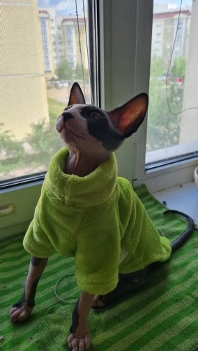 Fashionable Clothes For Cats Sphynx Cat Sweater Kitten Clothing Hound Dog Hoodie Clothes For Sphinx Cat Outfit Pet Jumpsuits