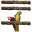 10/15/20cm Birds Accessories Equipment for Parrots Supplies Pet Raw Wood Tree Branch Stand Rack Perches Chew Bite Toys Stick