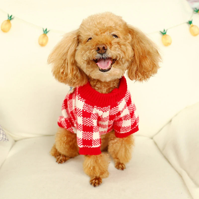 Luxury Designer Warm Winter Clothes for Pets Wool Knitting Floral New Year York Dog Sweaters Sphinx Cat Christmas Puppy Clothing
