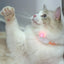 Laser Cat Collar LED Laser Cat Teasing Toy Cat Collar Toy Electric  Smart Laser Teasing Cat Interactive Toy Kitten Playing Toy