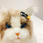 Cartoon Long Hair Cats Pet Products Designer Grooming Comb Small Chihuahua Accessories for Dogs Birthday Gifts Pet Hair Clips