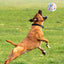 Bite Resistant Solid Dog Ball Toys for Small Large Dogs High Elasticity E-TPU Pet Chew Ball Toy Non Squeak Interactive Puppy Toy