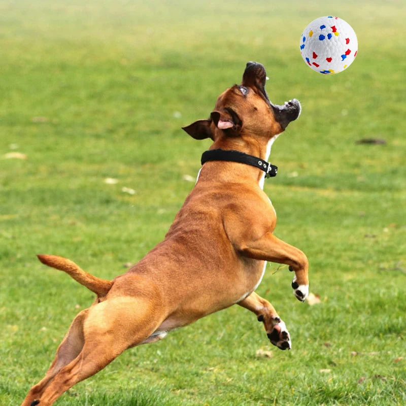 Bite Resistant Solid Dog Ball Toys for Small Large Dogs High Elasticity E-TPU Pet Chew Ball Toy Non Squeak Interactive Puppy Toy