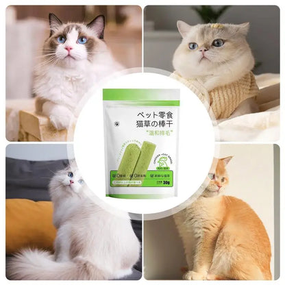 6PCS Cat Grass Teeth Grinding Stick Pet Snacks Hairball Removal Mild Hair Row Ready To Eat Cat Baby Cat Teeth Cleaner Teeth Care