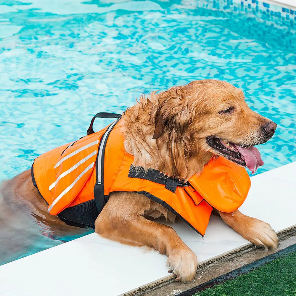 Dog Life Jacket Wings Design Pet Life Vest Dogs Flotation Lifesaver Preserver Swimsuit with Handle for Swim Pool Beach Boating