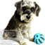 Silicone  Dog Toys Stretch Rubber Leaking Ball Funny Interactive Pet Tooth Cleaning Balls Bite Resistant Chew Toys