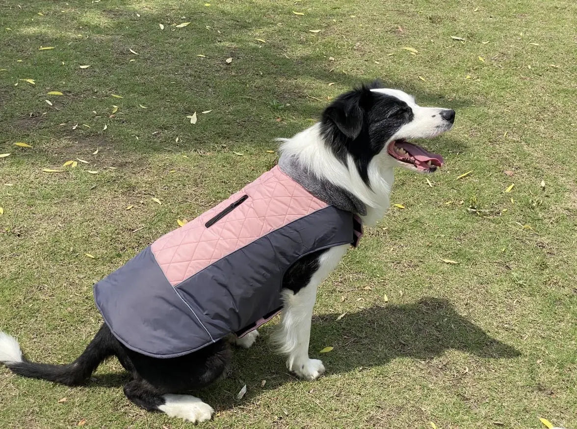 Warm Fleece Collar Dog Coat Jacket Double-Sided Winter Dog Coat Waterproof Puppy Clothing For Small Medium & Large Dogs Supplies