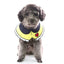 Adjustable Pet Dog Cat Saliva Towel Lace Decorative Bibs Scarf Bandana Collar Dog Accessories Small Dogs Bibs Cute Accessories