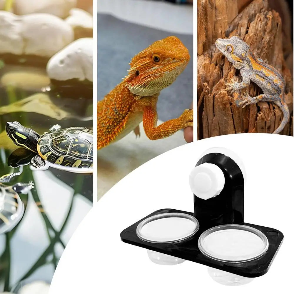 Reptile Food Bowl Feeding Bowl For Geckos Reptile Food Bowls And Water Dish For Lizard Small Pet Feeder Ledge Accessories