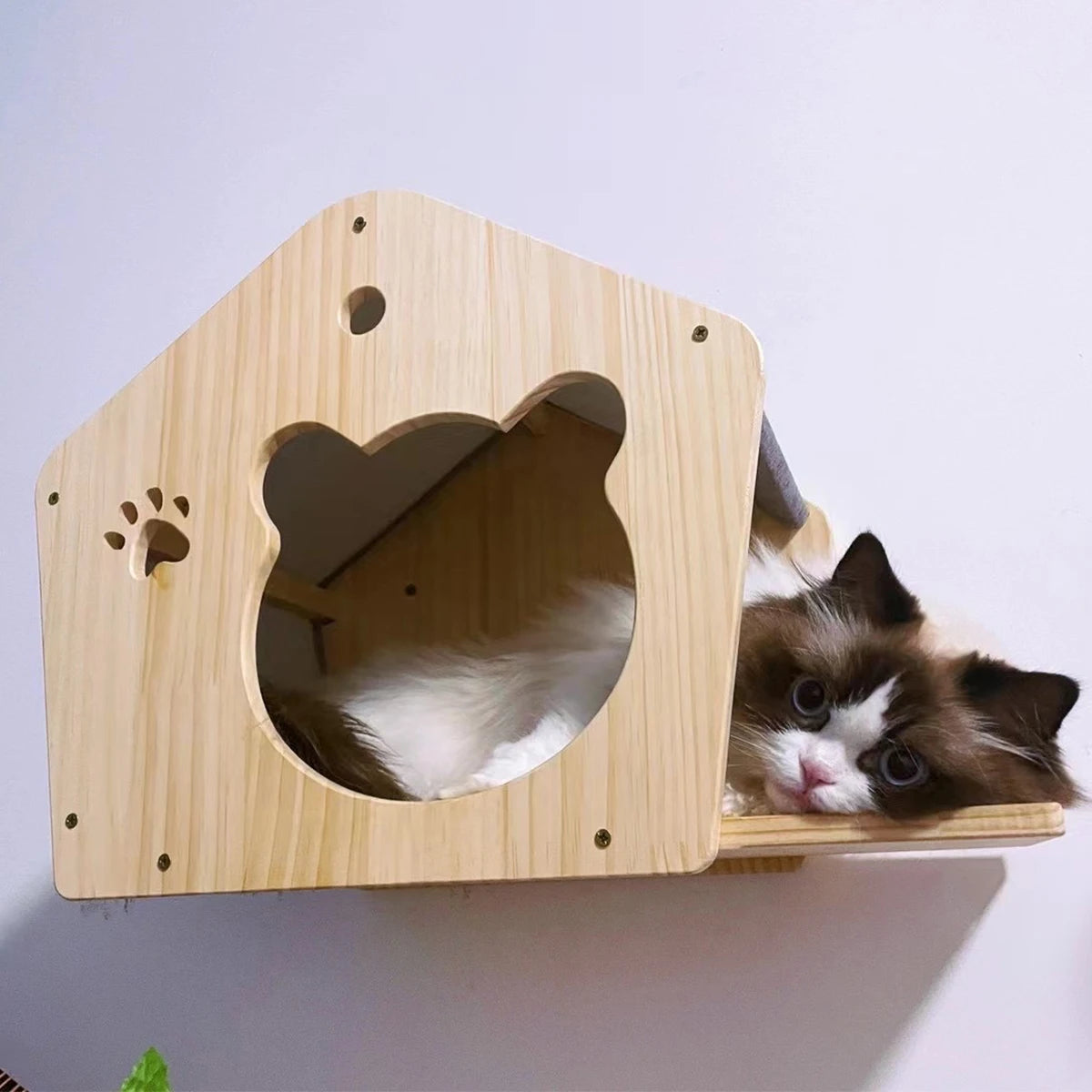 Cat Tree Cat Wall Mounted Climbing Wooden Shelves Posts Ladders with Hammock and Cat House Cat Bridge for Kittens Perch Sleeping