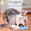 Catnip Wall Spin Ball Catnip Ball Toy Edible Cat Catnip Toys Promotes Digestion Enhances Appetite Wall Cat Lick Ball for Cat