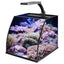Table Curvedcurved Saltwater Marine Fish Tank Aquarium