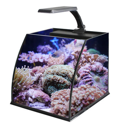 Table Curvedcurved Saltwater Marine Fish Tank Aquarium