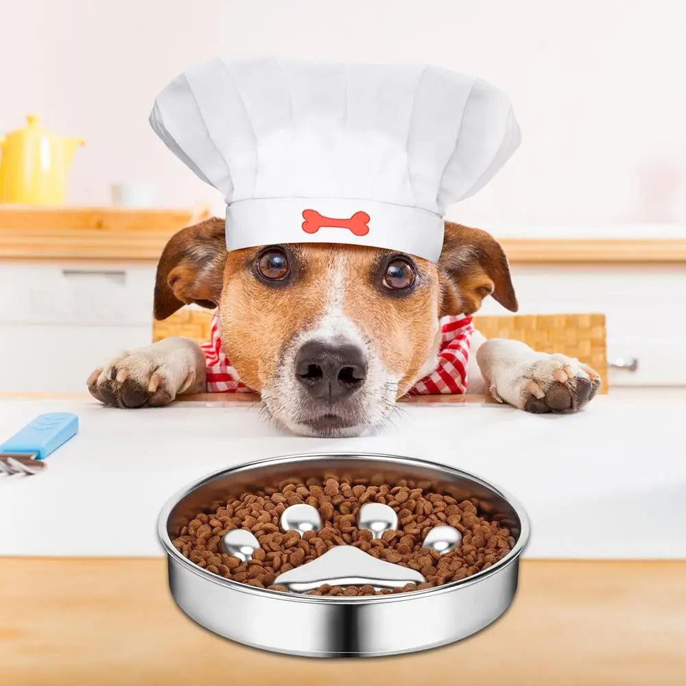 Dog Food Bowl Anti Rust Cat Food Bowl Oven Fridge Safe Pet food Container Dish for Small Medium Size Dogs for Indoor Outdoor
