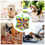 Pet Snuffle Mat Dog Foraging Mats in Turtle Shape Enrichment Toys Puppy Dog Feeding Mat  Treat Dispenser Slow Feeding Blanket