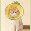 Animal Pet Elizabethan Collar Cat Postoperative Collar for Small Dogs Lick and Bite Protection Headgear Puppy Neck Accessories