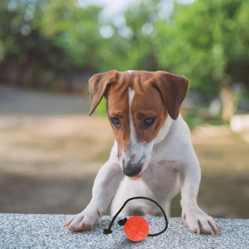 Dog Training Ball On Rope Pet Playing Balls Toys Outdoor Playing Keep Teeth Healthy And Boost Physical And Mental Health For Dog
