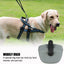 Silicone Treat Pouch For Dogs Portable Silicone Training Container Clip On For Dog Training Training Container Food Reward
