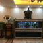 Cade The Latest Coral Super White Glass Aquarium Fish Wide No Border Aquarium Tank