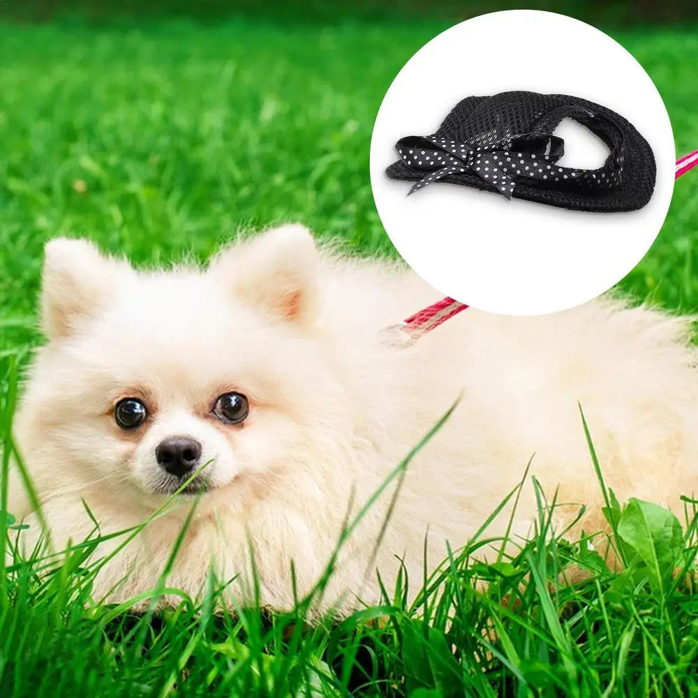 Dog Sun Hat Dog Baseball Caps For Sun Protection Adjustable Dog Beach Hat Summer Puppy Hat For Small Medium Large Dogs Kitten