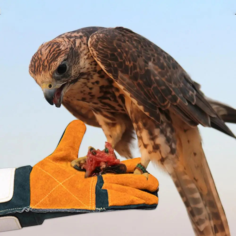 Animal Handling Gloves Extreme Heat And Fire Resistant Gloves Bite Proof Animal Gloves For Cat Dog Bird Pet Trapping Supplies