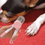 Nail Clippers For Dog Kitten Nail Clippers Cat Claw Trimmer For Nail Bloodline To Avoid Over Cutting Led Light Pet Nail Grooming