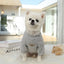 2023 New Spring Summer Pet Clothes Bear Pattern Sweater And Comfortable Puppy Clothes Teddy  Hiromi For Small And Mid Sizes Dogs