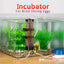 1Set Aquarium Brine Shrimp Incubator Baby Fish Feed Fairy Egg Artemia Alive Hatch Kit Fish for Tank Equipment Kits Eggs Hatcher