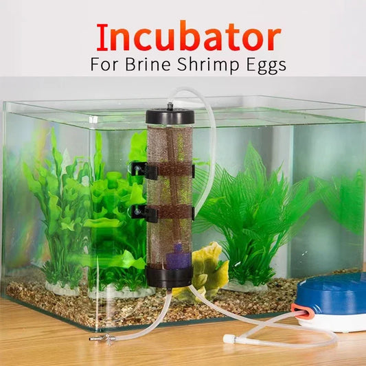 1Set Aquarium Brine Shrimp Incubator Baby Fish Feed Fairy Egg Artemia Alive Hatch Kit Fish for Tank Equipment Kits Eggs Hatcher