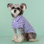 Striped Pet Polo Shirt Summer Dog Clothes for Small Dogs Cotton Puppy Vest Chihuahua Bichon Costume Cat T Shirt Dog Undershirt
