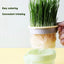 Hierarchical Design Cat Grass Cultivation Cup with Soilless Cultivation Reusable Catnip Growing Container Seed Germination Tray