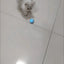 Cat Interactive Ball Smart Pet Cat Toys Indoor Automatic Rolling Magic Ball Electronic Interactive Cat Toy Cat Game Accessories