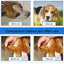 Pet Wound Spray Dog Cat Skin Scratch Wound Treatment Repair Liquid Wound Spray Blocking O9R6