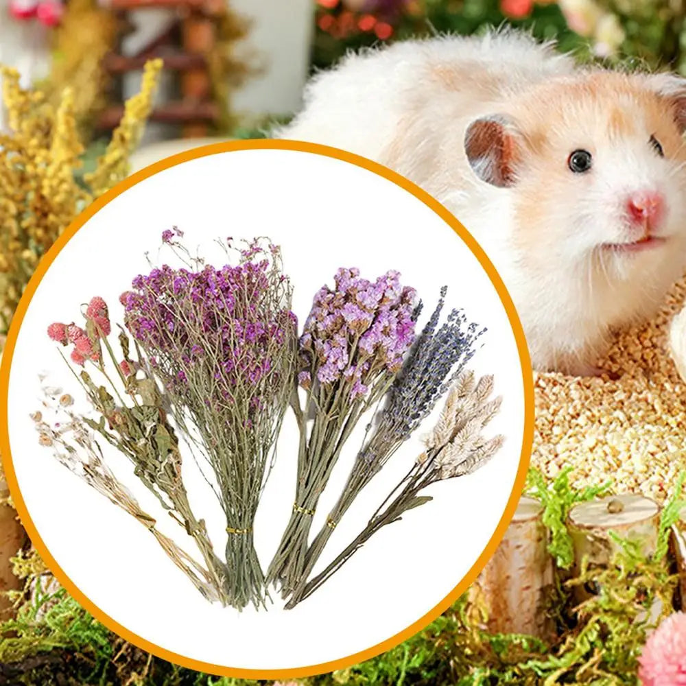 Flower And Plant Bedding Natural Hamster Bedding Hamster Deodorizing Bedding Small Animal Deodorant Product Landscaping Supplies