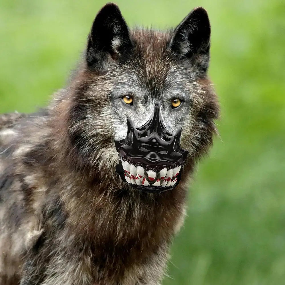 Halloween Dog Muzzle With Teeth Creepy Dog Costume With Large Teeth Spooky Prop Halloween Dog Costume Hilarious Dog Muzzle