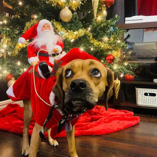 Creative Christmas Pet Clothes Old Man Riding Costume Christmas Atmosphere Funny Supplies Cats And Dogs Pet Winter Clothes