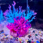 Artificial Silicone Underwater Coral Aquarium Fish Tank Simulation Decoration Aquarium Backgrounds Plants Water Grass Decora