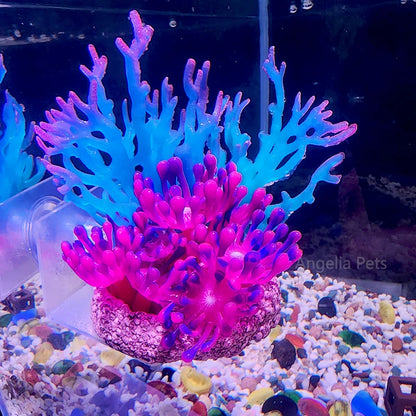 Artificial Silicone Underwater Coral Aquarium Fish Tank Simulation Decoration Aquarium Backgrounds Plants Water Grass Decora