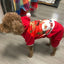 Christmas Dog Coat Sweater Chihuahua Pet Clothes New Year Pets Dogs Clothing For Small Medium Dogs Costume Warm Dog Hoodies