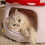 Pet  Warm Bed Cave Nest Mushroom Shape Cat Winter Tent Warming Puppy House Cozy Kitten Sleeping Tent Cave Beds For Small Pets