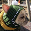 Solid Wool Knitting Pet Dog Hat New Year Protective Head Wear French Bulldog Kitten Accessories Versatile Outdoor Pet York Scarf