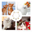 Pearl Dog Collar Pearl Collar For Dogs Pearl Cat Collar Dog Jewelry For Small Dogs Puppy Necklace Adjustable Elegant For Small