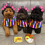 Cute Creative Pet Headdress Halloween Atmosphere Sense Wig Funny Pet Hat Pet Fashion Fun Curly Hair Photo Styling Headband Pet T