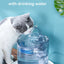 Cat Water Feeder Automation Sensor Faucet Fountain Food Grade Transparent Plastic Dog Water Dispenser For Cat Pet Sensor Drinker