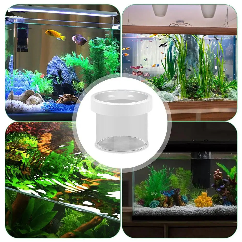 Floating Hatching Box Fish Tank Hatching Incubator Acrylic Aquarium Breeder Feeder Fine Mesh Aquarium Breeder Box Fish Breeding