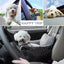 Pet Car Seat for Large Medium Dogs Washable Dog Booster Pet Car Seat Detachable Dog Bed for Car Back Seat Pet Travel Carrier Bed